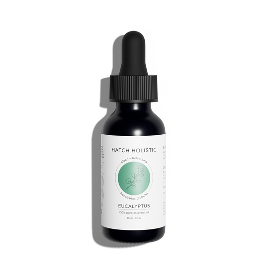Eucalyptus Oil - 1oz