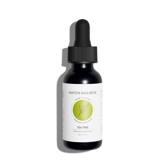 Tea Tree Oil - 1oz